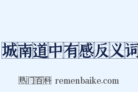 城南道中有感反义词是什么意思的图片